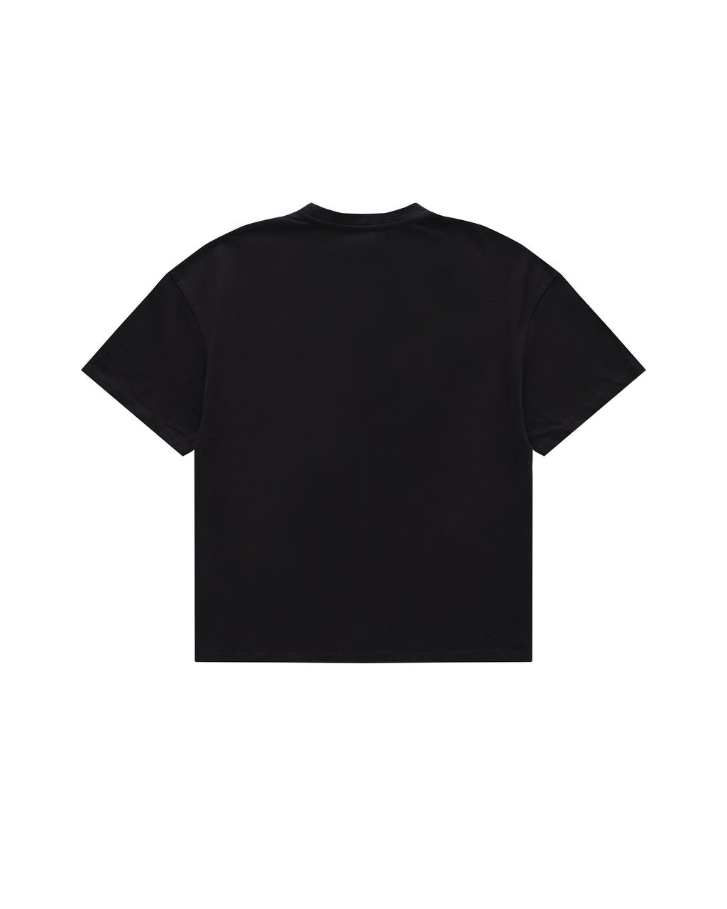 Dragon Rider Heavyweight T-shirt