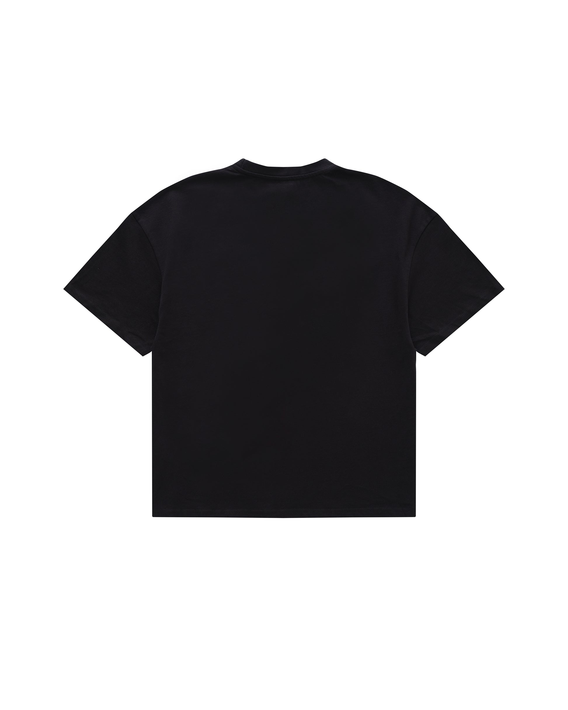 Dragon Rider Heavyweight T-shirt